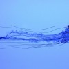 Freely Swimming Artifical "Jellyfish" Made From Inanimate Silicone And Living Cardiac Muscle Cells