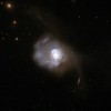 Rapidly Growing Giant Black Holes Found