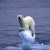 Global Warming Less Extreme Than Feared?