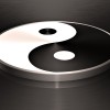 Activism and wonkery are the ying and yang of India