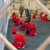 Guantanamo Bay Detention Center inmates on their 5th day of a Hunger Strike