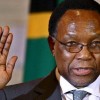 Kgalema Motlanthe's Madiba Magic