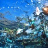 Where Trash And Garbage Accumulates In The Deep Sea