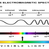 FCC: Problems in human exposure with EMF waves