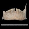 Maya Dismembered Their Enemies, Mass Grave Found In Artificial Cave
