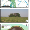 10,000 Year Old Archaeological Site Found In Western Amazon "Forest Islands"