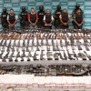 Mexico's Drug War