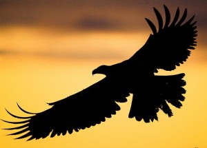 Freedom is Not Free - Implications of the Ryan-Murray Budget Deal