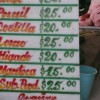 Cuba: The economy part two