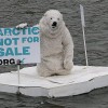 Global Warming Chickenlittleism