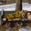 Homelessness in Winter Cold