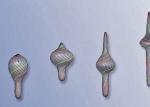 Soft biological robots will move through the body