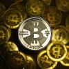 Friedman and Hanke on Bitcoin