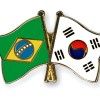 Brazil, Korea: Two Tales of a Macroprudential Regulation