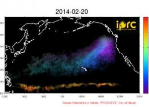 What has happened to the Tsunami debris from Japan?