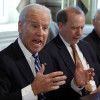 Congressional Muscle and US Foreign Policy