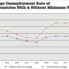 Let the Data Speak: The Truth Behind Minimum Wage Laws