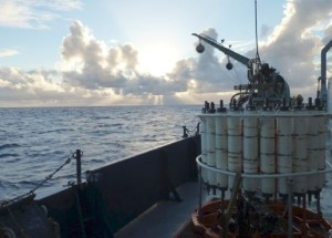 Remarkable genetic diversity seen in ocean microbes