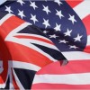 Machopolitik: Why America Still Needs a Strategic Britain