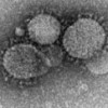 First U.S. MERS case confirmed by CDC