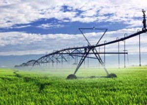 Big Data Comes to the Farm