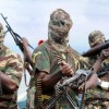 Boko Haram is responsible for more than 3.000 deaths