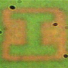 'Nanocamera' takes pictures at distances smaller than light's own wavelength