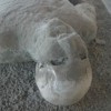 The Destruction of Pompeii