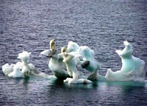Shaking, Quaking, and Freezing