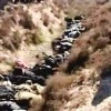 Genocide! A Christian Holocaust
