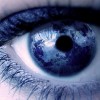 American Strategy and the World-wide Western Security Web