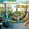 Israel's defiant economic growth