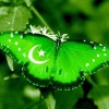 Asia needs ASEAN-ization not Pakistanization of its continent