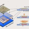Wireless electronic implants stop staph, then harmlessly dissolve