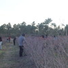 Agriculture in Portugal: Relying on foreign workers