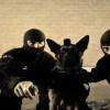 ISIS and Counter Terrorism legislation in Jordan