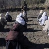Saudi Arabia and Oman Have Different Experiences With Extremism