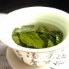 Green tea compound kills oral cancer cells