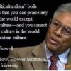 Destructive Effects of Multiculturalism