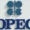 World oil market and OPEC chanllenges