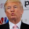 Trump backs down
