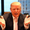 Is Trump the Real Deal?