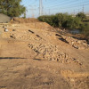 Gath: Biblical Philistine City of Goliath Found by Archaeologists