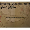 Wolf versus pigs Crimes Fairy Story Shows why Crime Reduction Policy Making is Based on Absurd Pseudoscience
