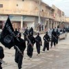 ISIS: Ambitions and Constrains