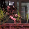 Robots successfully tend tree nursery