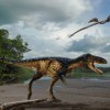 New Horse-Sized Tyrannosaur with Big Brain Reveals How “T. Rex” Became Top Predator