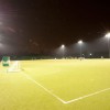 Immigration and Astroturf