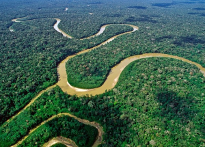Water Storage Made Prehistoric Settlement Expansion Possible in Amazonia