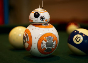 Child’s Robot Learning Companion Serves as a Customizable Tutor